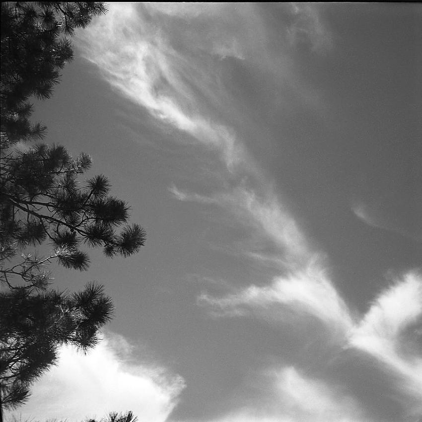 First roll with Welta Weltur