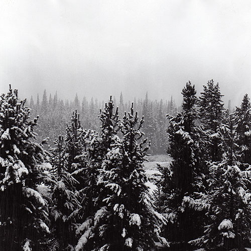 First Snow