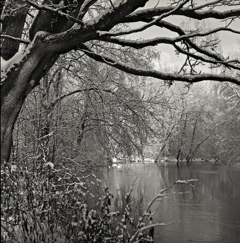 First snowfall