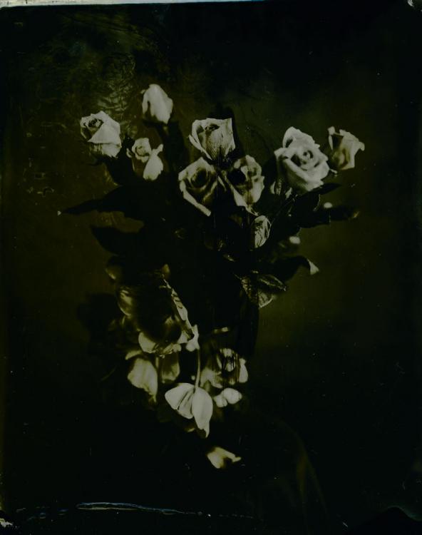 First Wet Plate Collodions