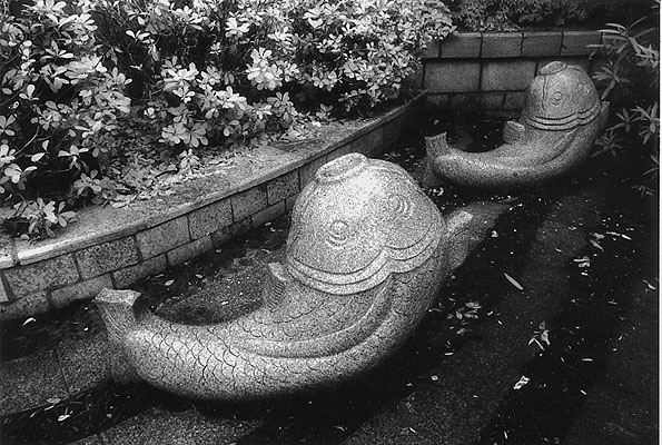Fish Chairs in Guilin