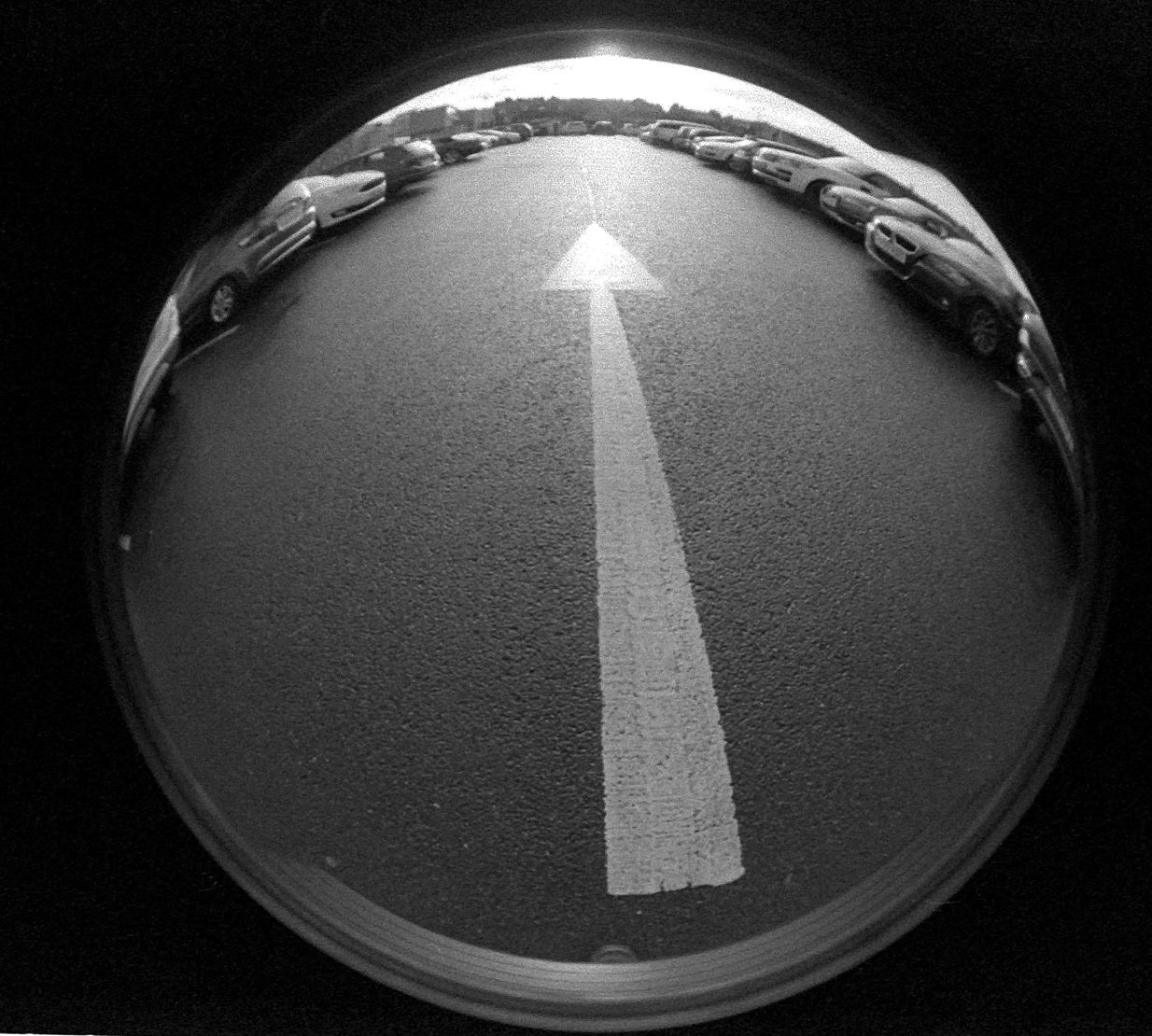 Fish Eye 01 | Photrio.com Photography Forums