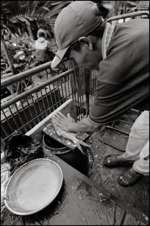 Fish Merchant