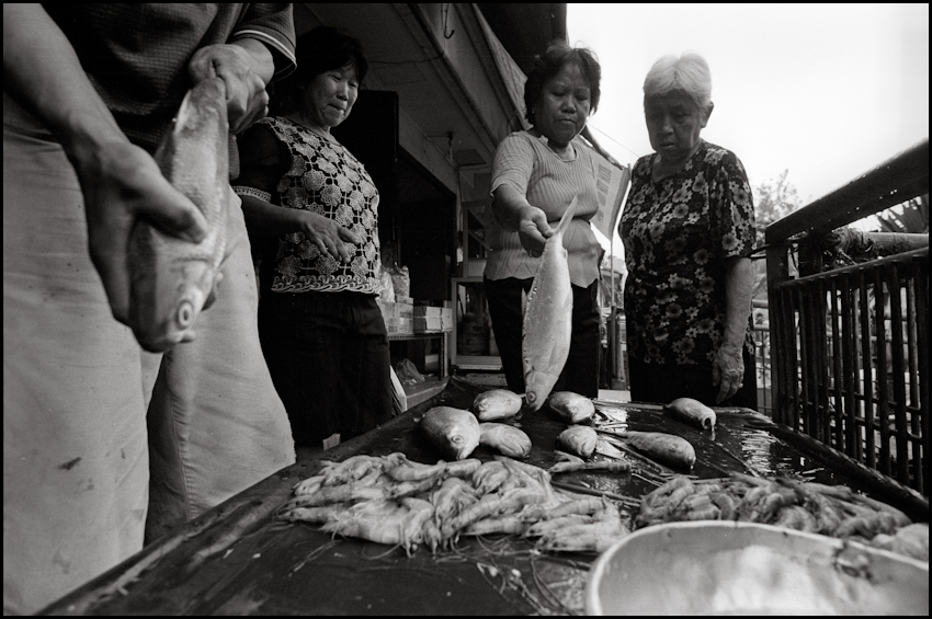 Fish Merchant