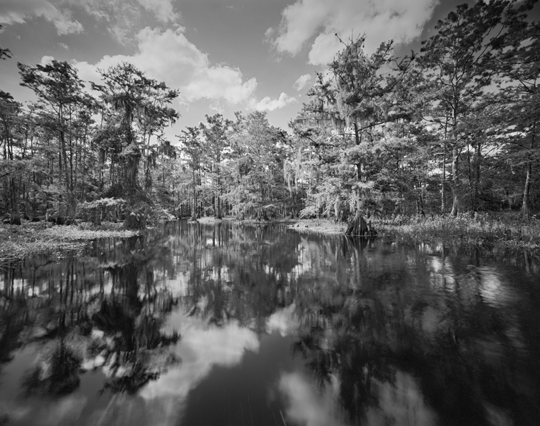 Fisheating creek