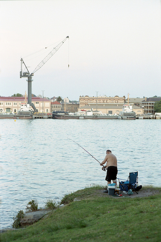 Fisherman / fishercrane