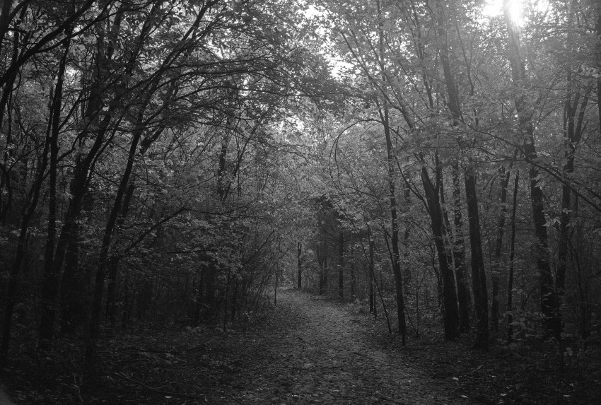 Fisherman's Trail