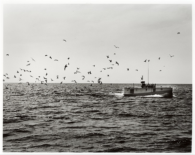 Fishing Boat