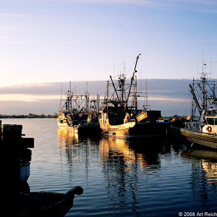 Fishing Boats #1