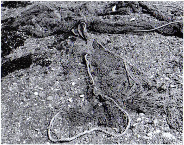 fishing nets
