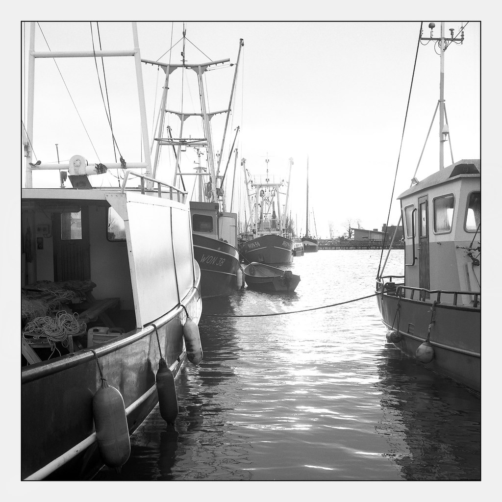 Fishing vessels in backlight