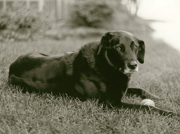 Fiver 1993-2008
