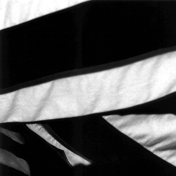 Flag Study B