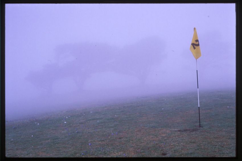 Flag.