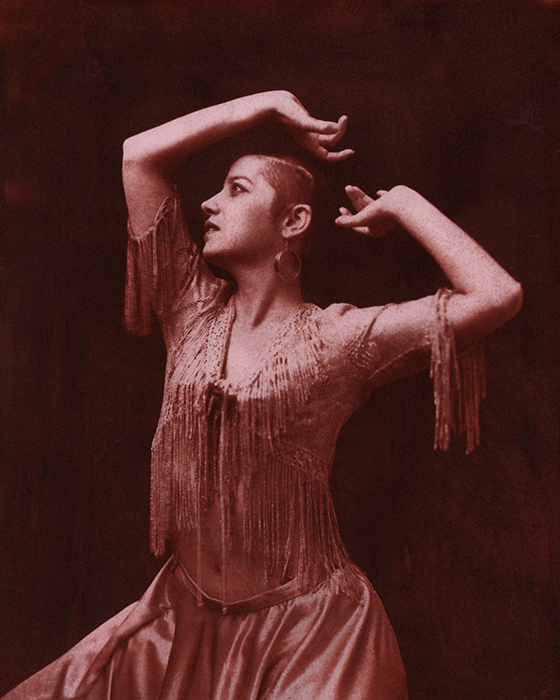 Flamenco Dancer