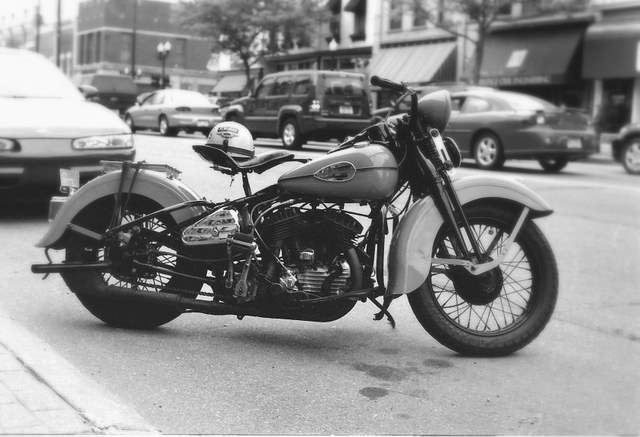 Flathead