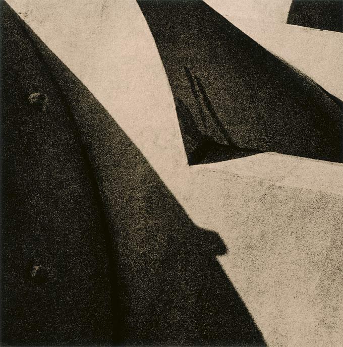 flexed shadows