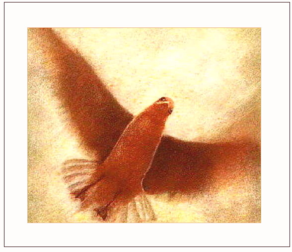 Flight / Bromoil