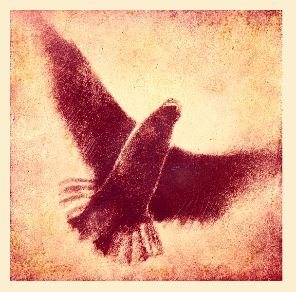 Flight II