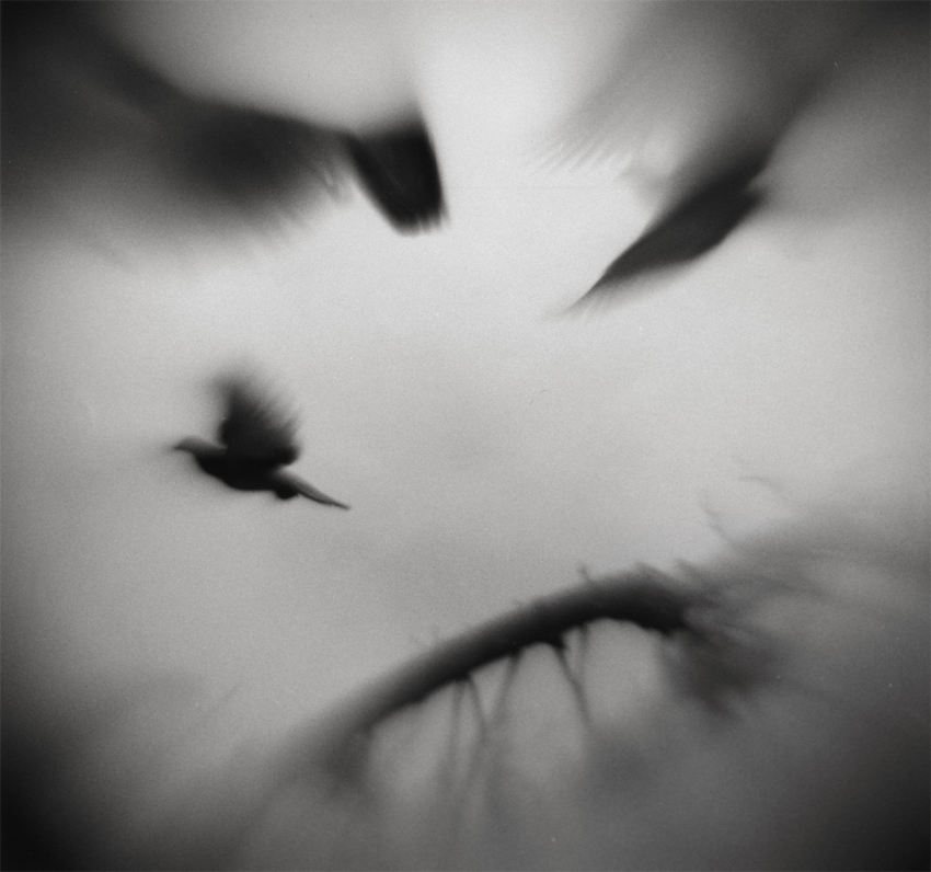 Flight