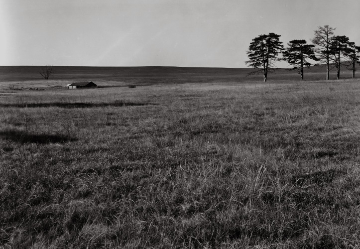 Flint Hills #3