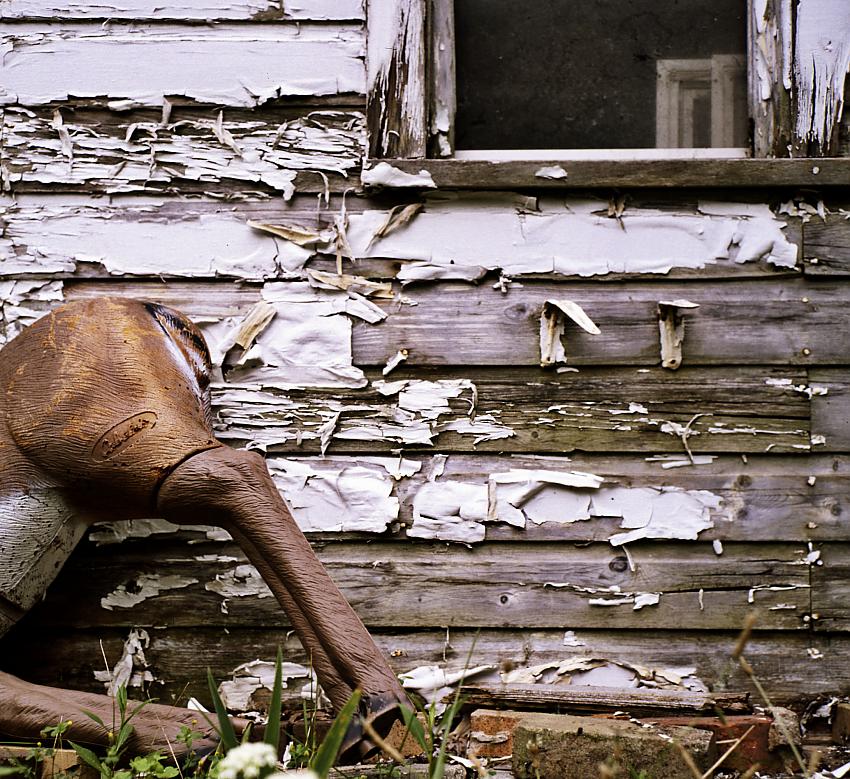 Flint, Michigan
