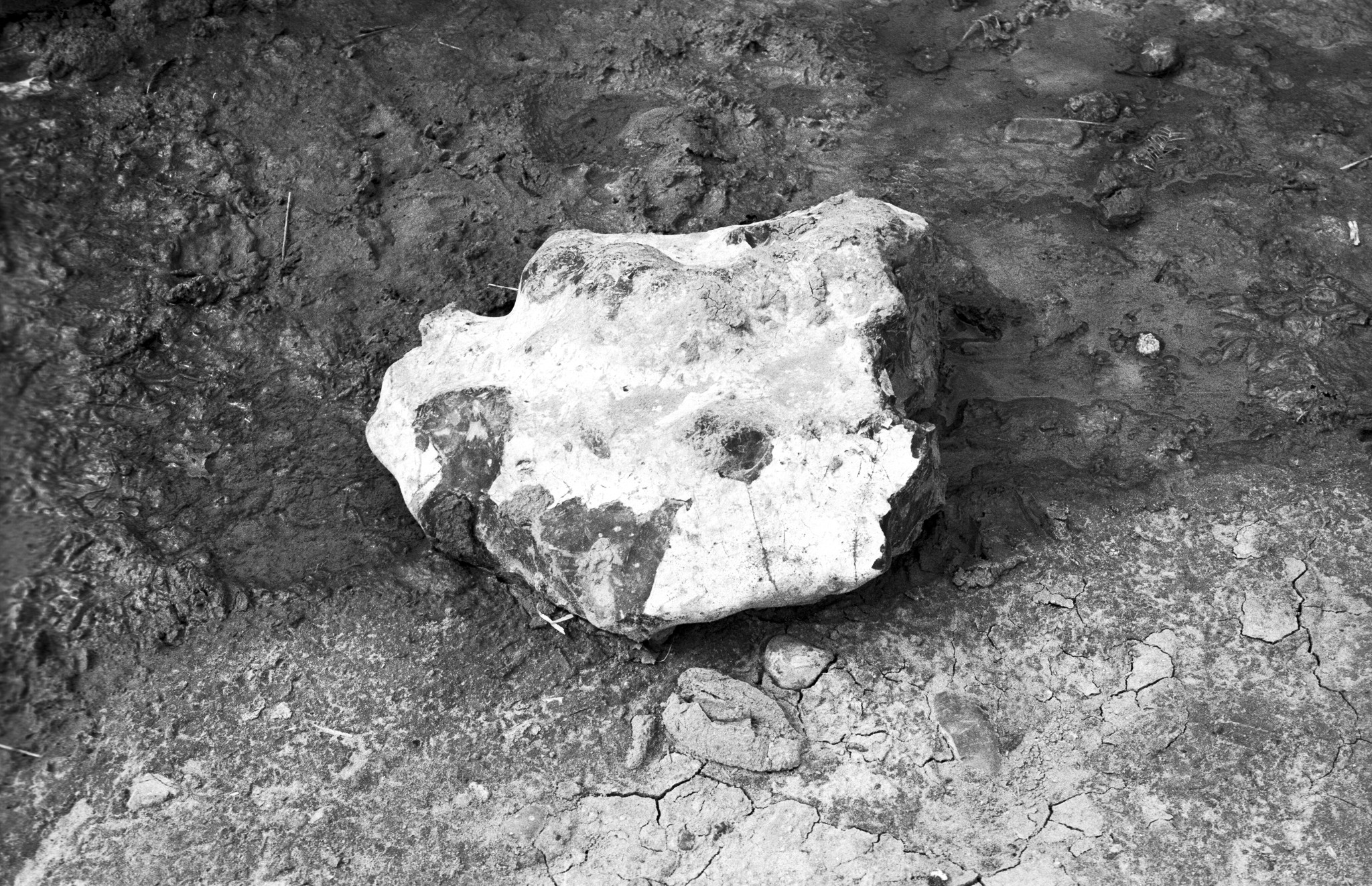 Flint on Beach