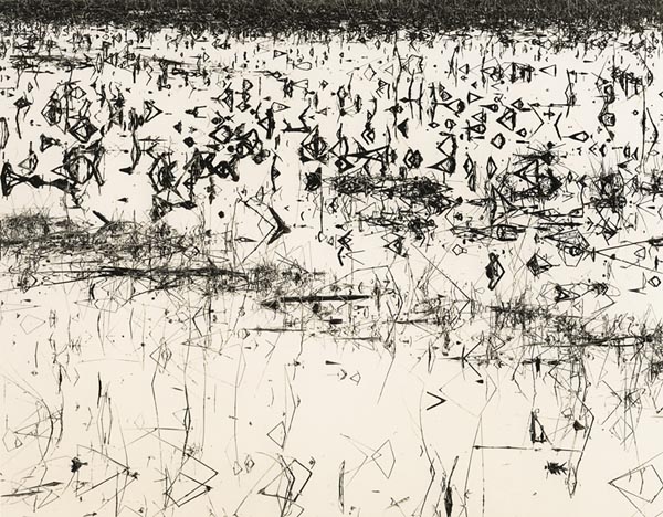 Flooded Corn Field