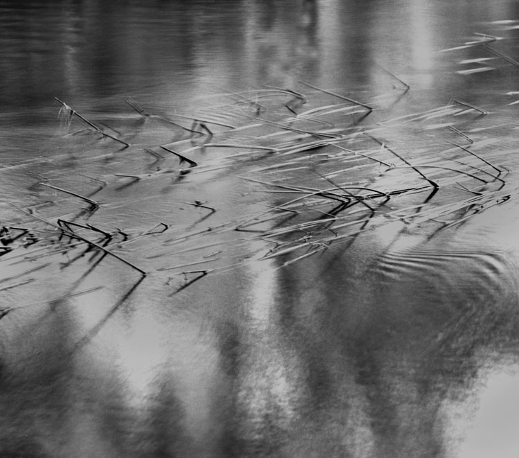Flooded creek