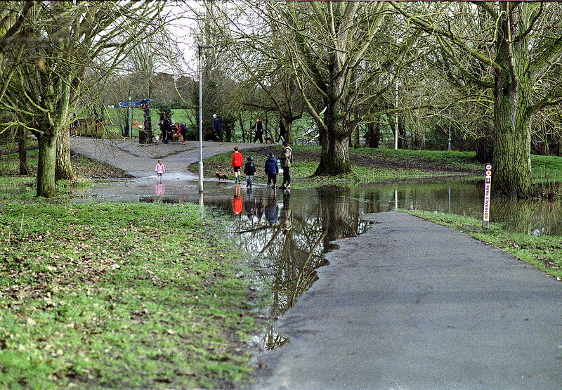 Flooding in The Park