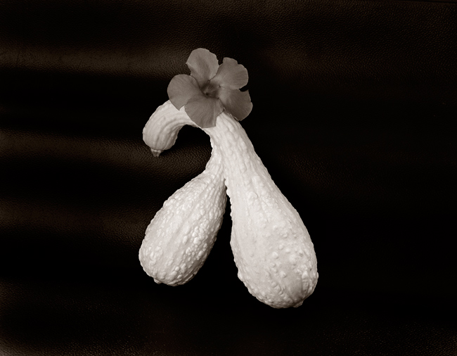 Flora