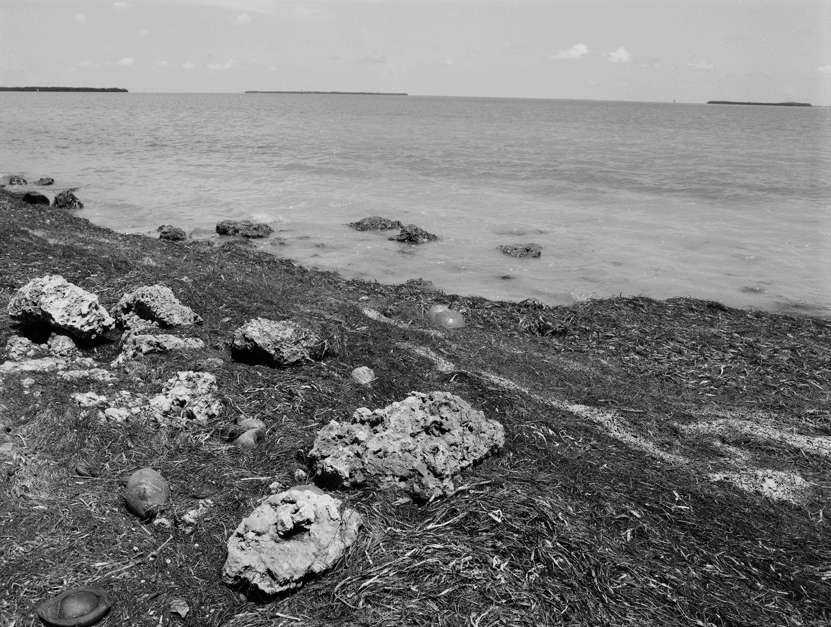Florida Bay