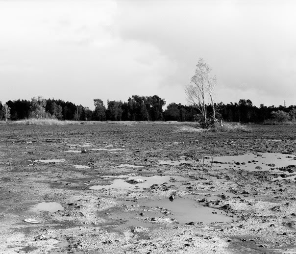 Florida Everglades