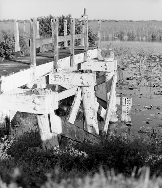 Florida Everglades