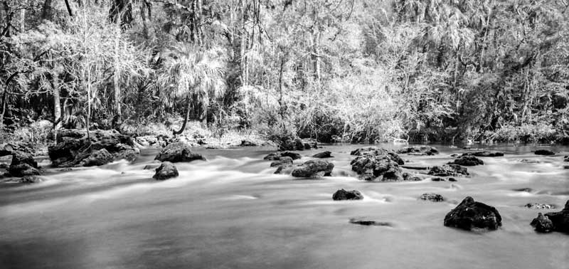Florida Rapids