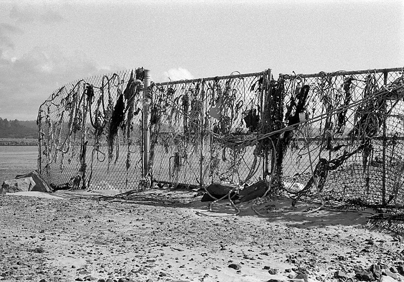 Flotsam