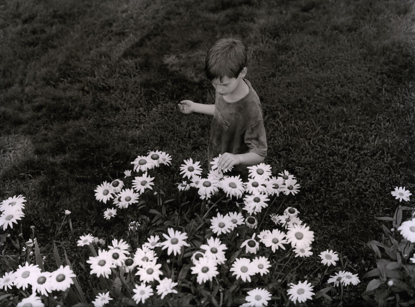 Flower Garden