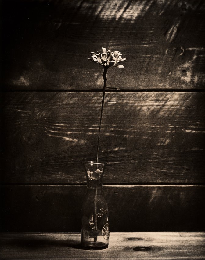 Flower - Lith