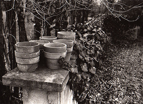 Flower Pots