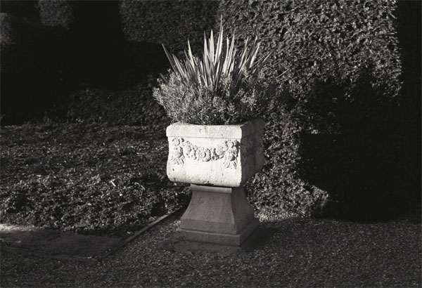 Flower tub, Walmer Castle