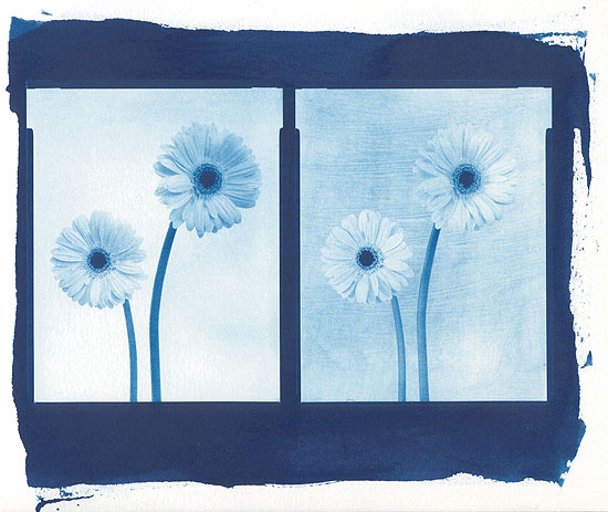 Flowerpower