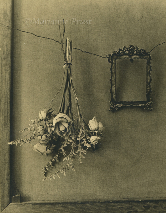 flowers and frame