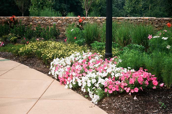 Flowers At The Foundry
