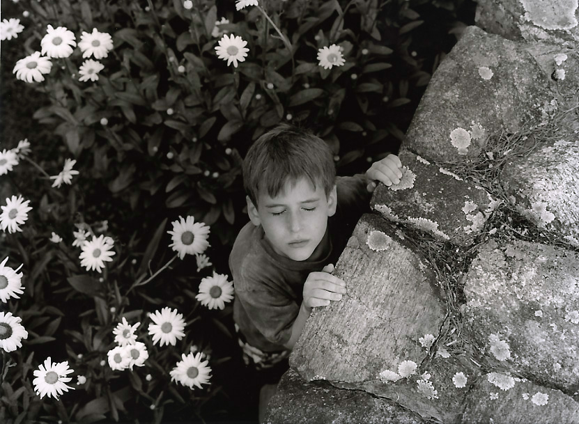 Flowers by the Stone Wall