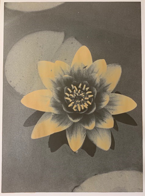 Flowers II