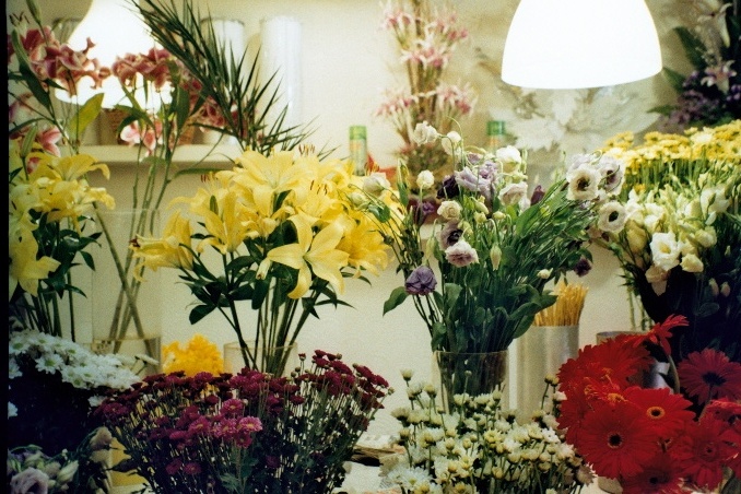 Flowers + Leica Mini Zoom