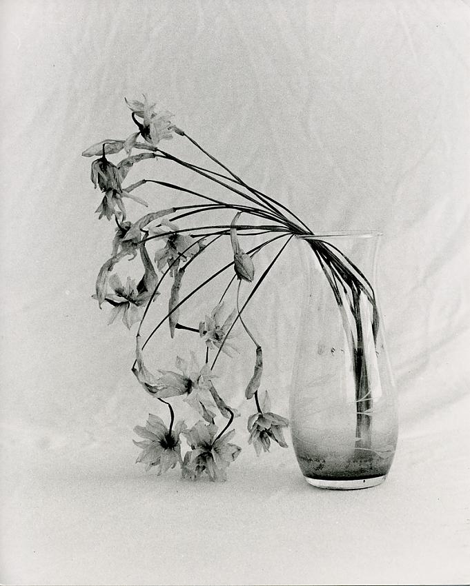 Flowers Past