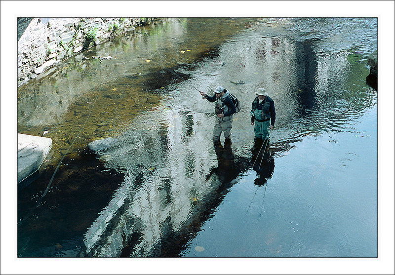 fly fishing