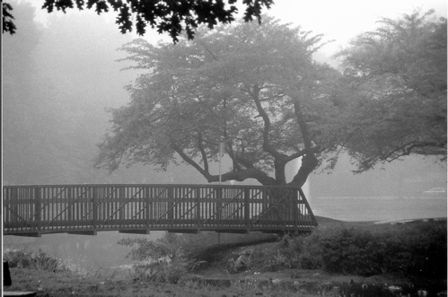 Fog #1