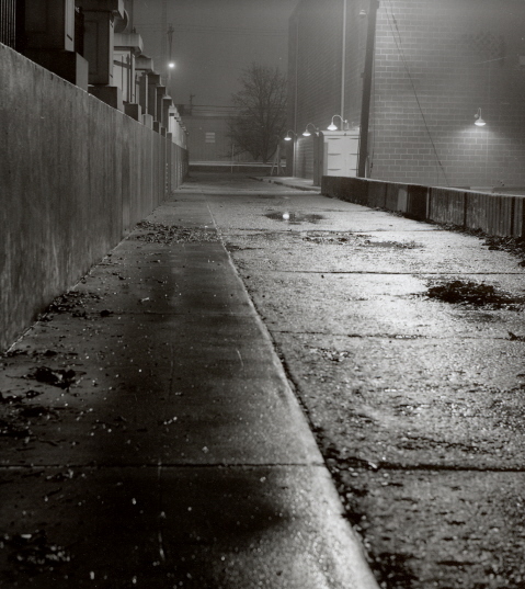 Fog Ally